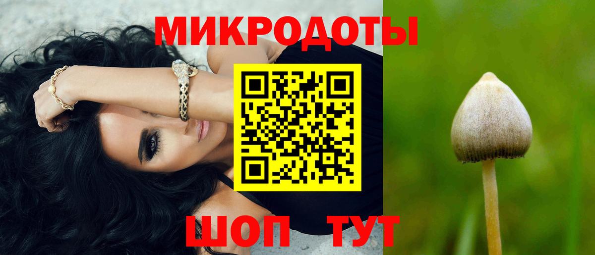 Галлюциногенные грибы Cubensis  Вход с VPN  Трёхгорный  продажа наркотиков  Псилоцибиновые грибы мицелий 